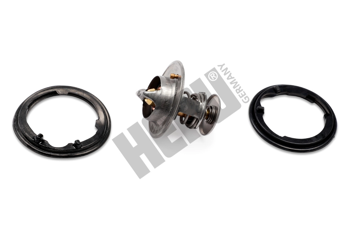 Thermostat, coolant (TM1317)