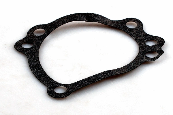 Water Pump, engine cooling (P1024)