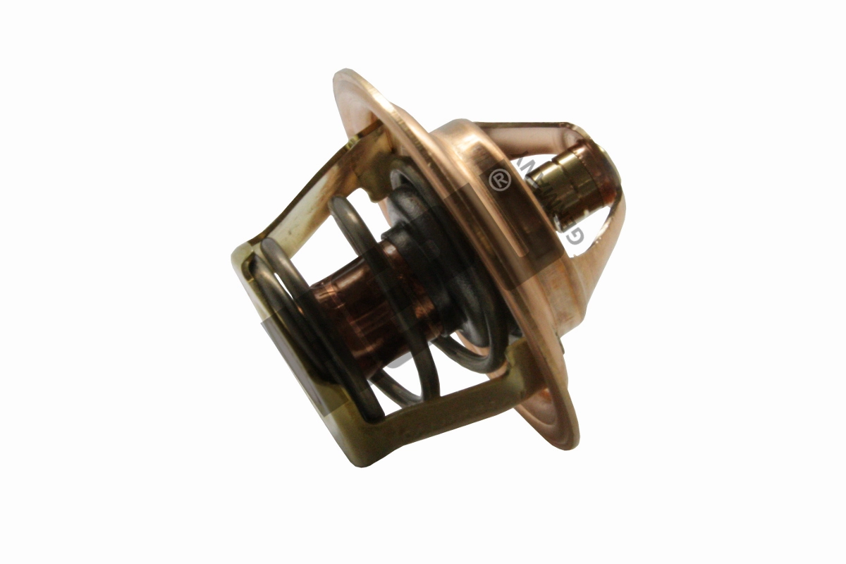 Thermostat, coolant (TM1378)