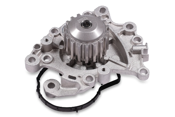 Water Pump, engine cooling (P1901)