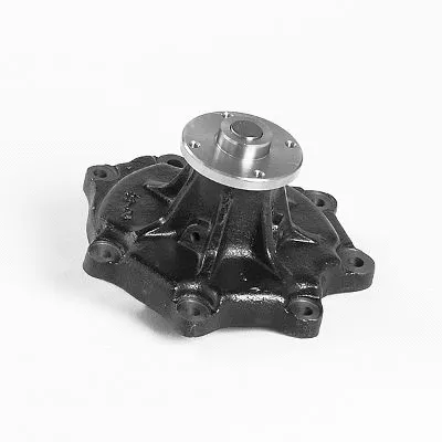 Water Pump, engine cooling (P7377)