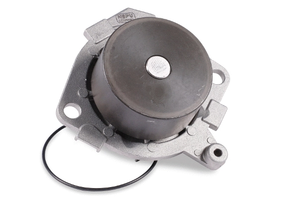 Water Pump, engine cooling (P1087)