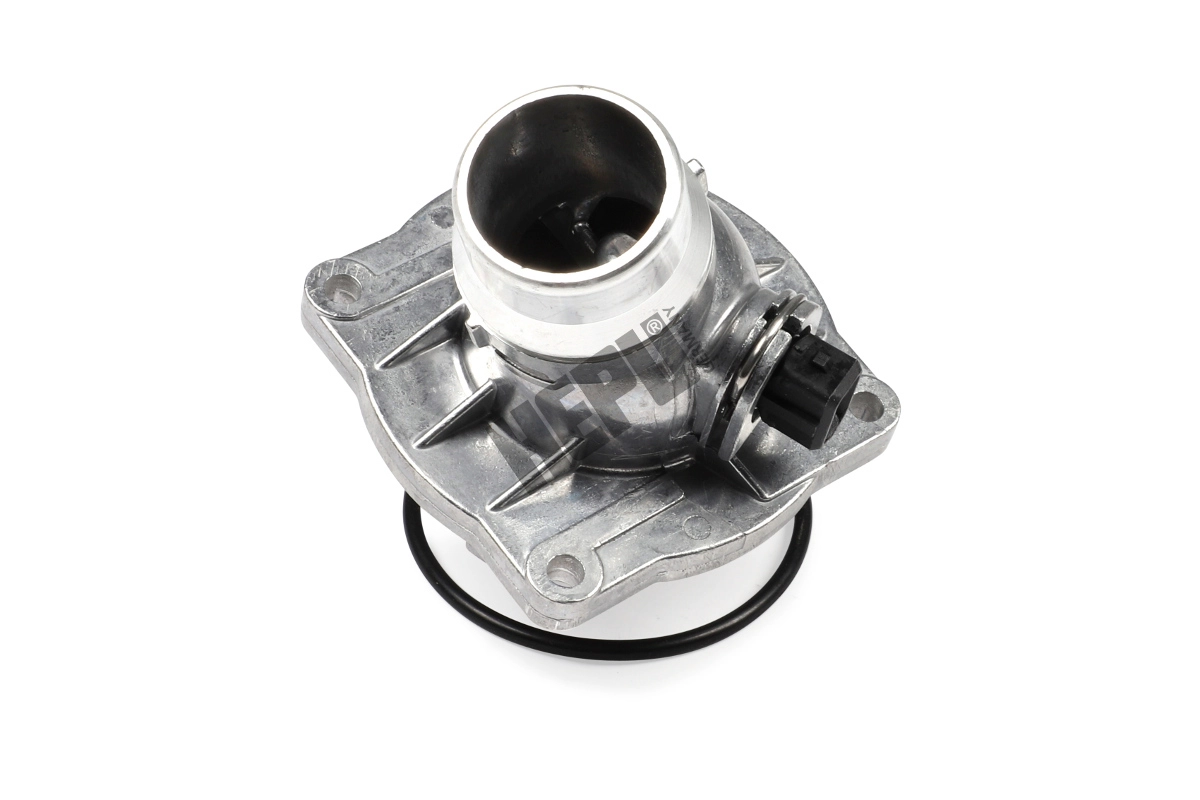 Thermostat, coolant (TM1069)