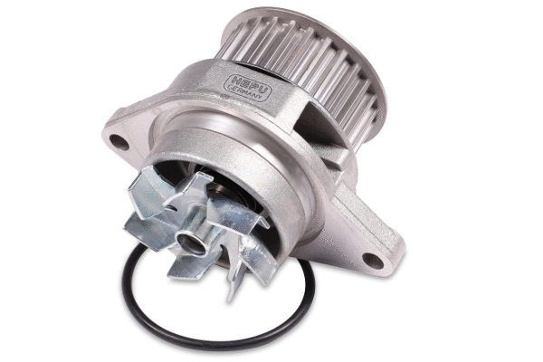 Water Pump, engine cooling (P556)