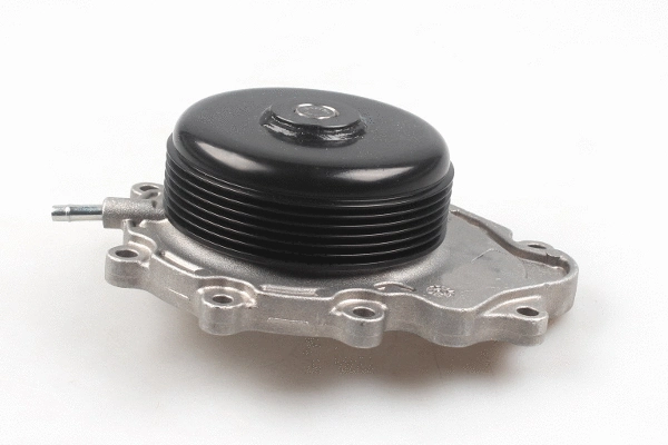 Water Pump, engine cooling (P1513A)