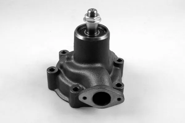 Water Pump, engine cooling (P9908)