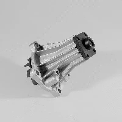 Water Pump, engine cooling (P220)
