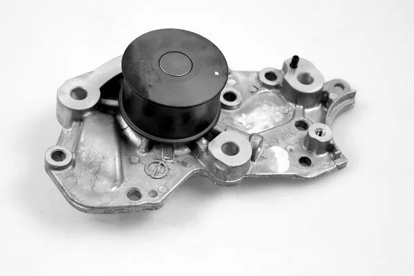 Water Pump, engine cooling (P7741)