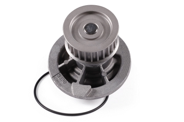 Water Pump, engine cooling (P316)