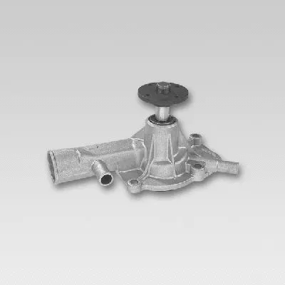 Water Pump, engine cooling (P770)