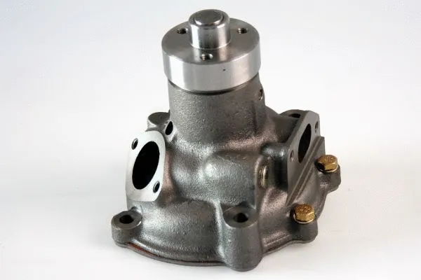 Water Pump, engine cooling (P1168)