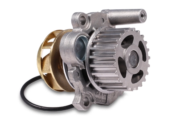 Water Pump, engine cooling (P547)