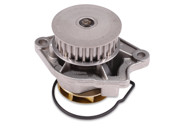 Water Pump, engine cooling (P541)