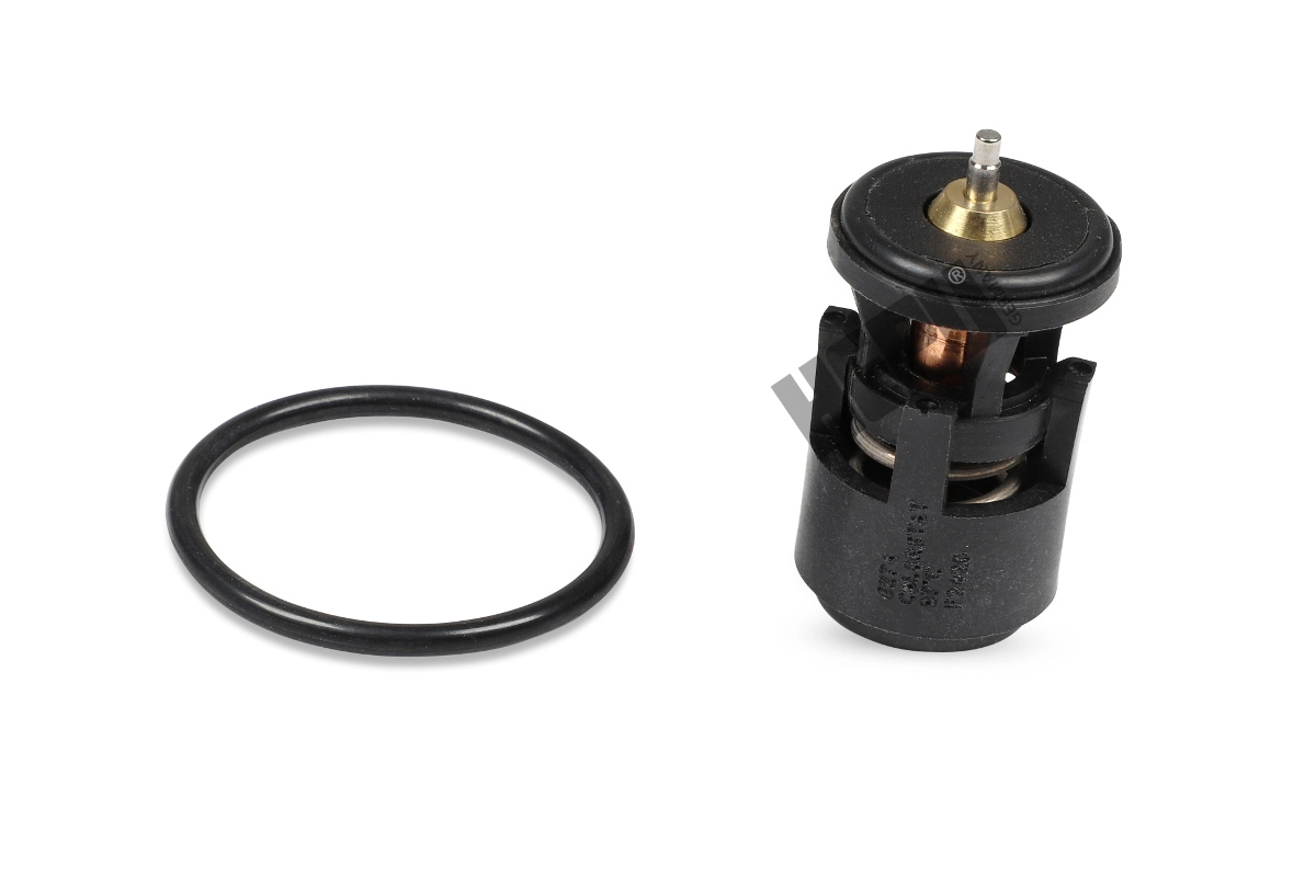 Thermostat, coolant
