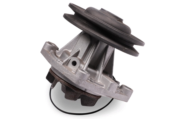 Water Pump, engine cooling (P025)