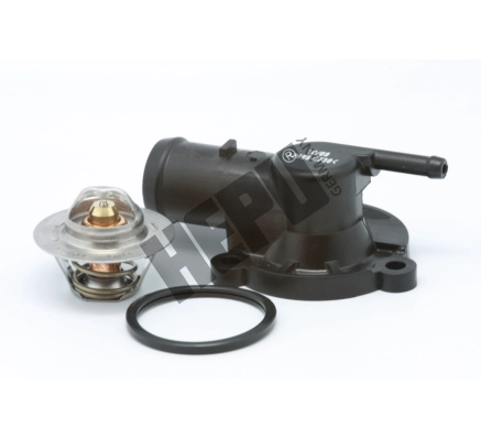 Thermostat, coolant (TM1131)