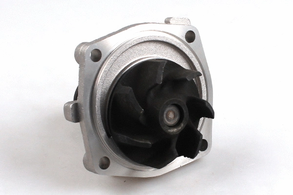 Water Pump, engine cooling (P031)