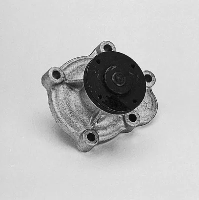 Water Pump, engine cooling (P310)
