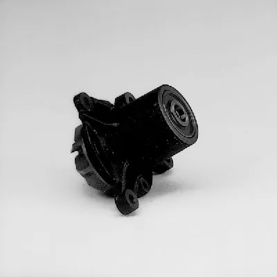 Water Pump, engine cooling (P190)