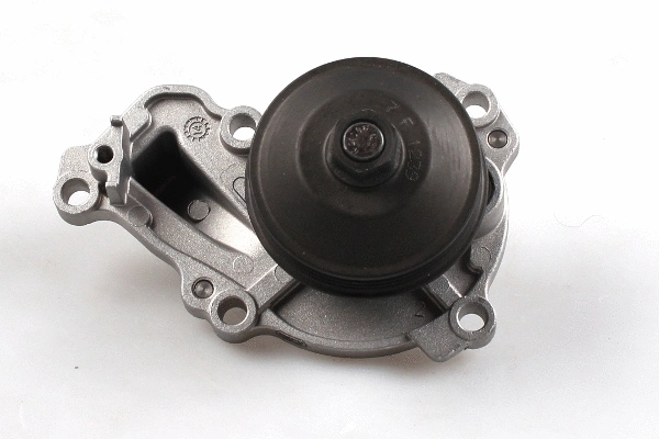 Water Pump, engine cooling (P908)