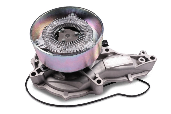 Water Pump, engine cooling (P9981)