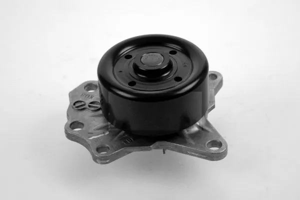 Water Pump, engine cooling (P7648)