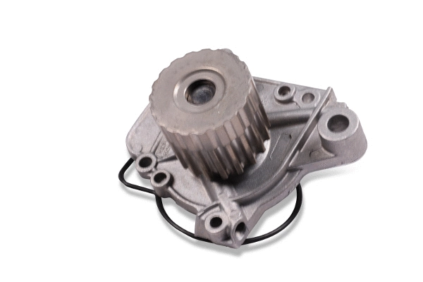 Water Pump, engine cooling (P783)