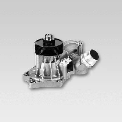 Water Pump, engine cooling (P491)