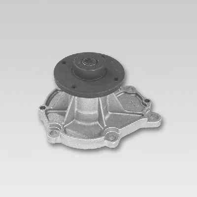 Water Pump, engine cooling (P747)