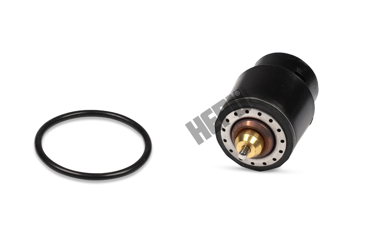 Thermostat, coolant