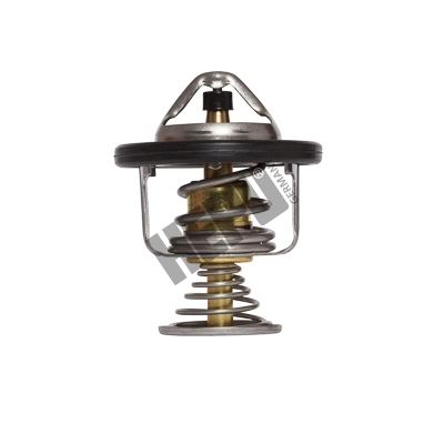 Thermostat, coolant (TM1287)