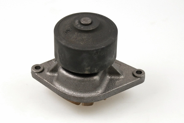 Water Pump, engine cooling (P1190)
