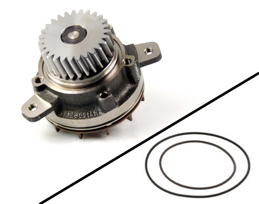 Water Pump, engine cooling (P9913)