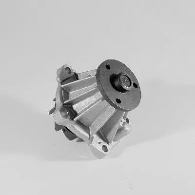Water Pump, engine cooling (P226)