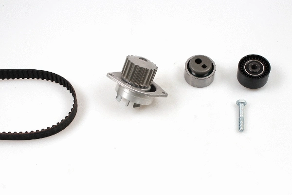 Water Pump & Timing Belt Kit (PK08120)