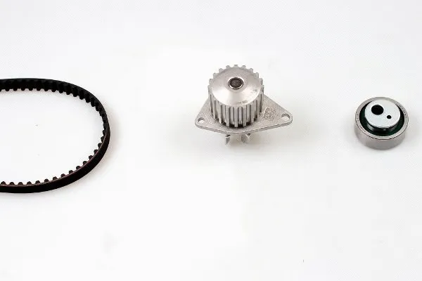 Water Pump & Timing Belt Kit (PK08130)