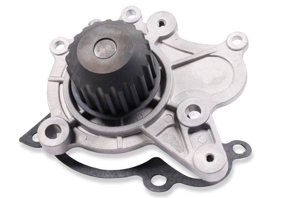 Water Pump, engine cooling (P7797)