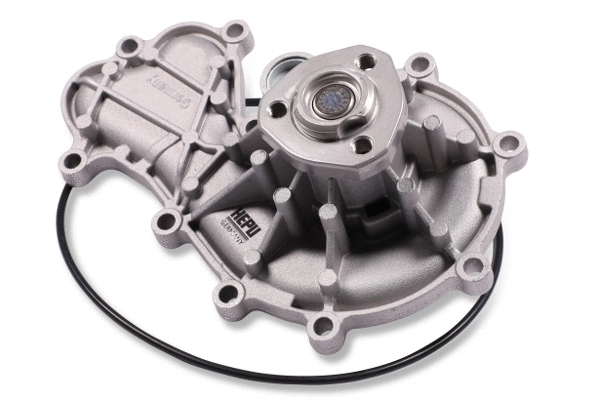 Water Pump, engine cooling (P667)