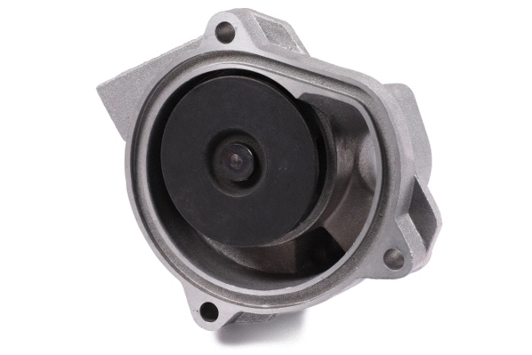 Water Pump, engine cooling (P531)