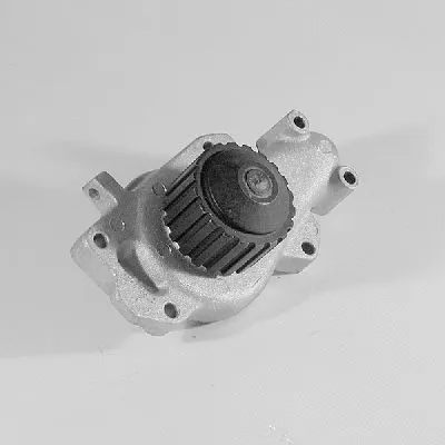 Water Pump, engine cooling (P203)