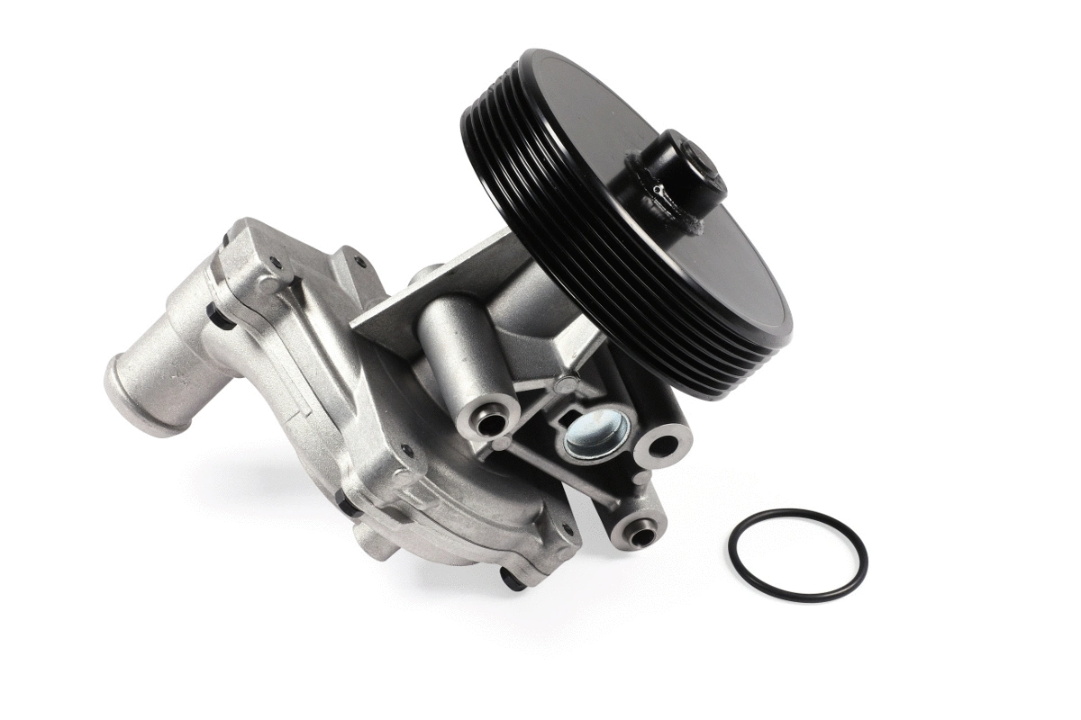 Water Pump, engine cooling (P262)