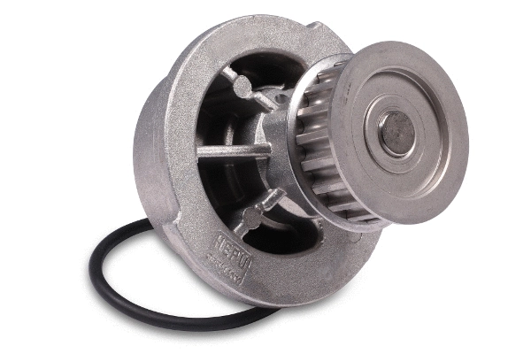 Water Pump, engine cooling (P312)