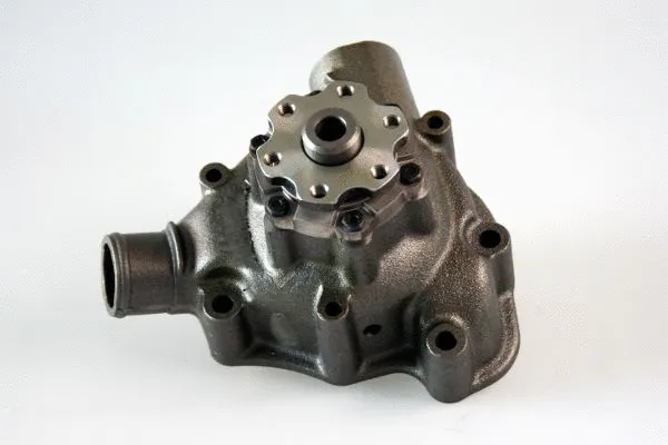 Water Pump, engine cooling (P1464)
