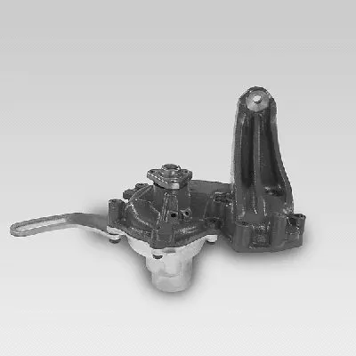 Water Pump, engine cooling (P1061)
