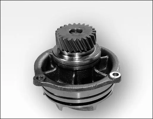 Water Pump, engine cooling (P1176)