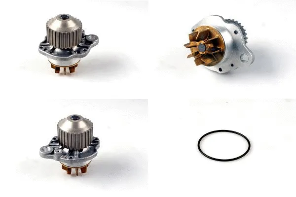 Water Pump, engine cooling (P890)