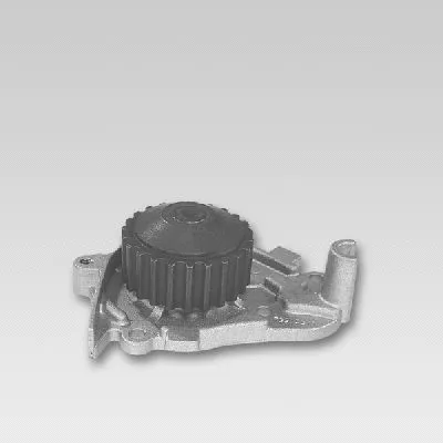 Water Pump, engine cooling (P748)