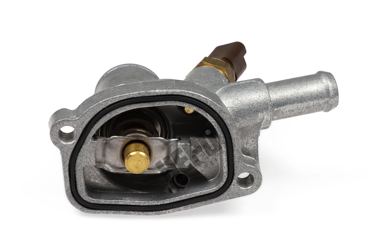 Thermostat, coolant