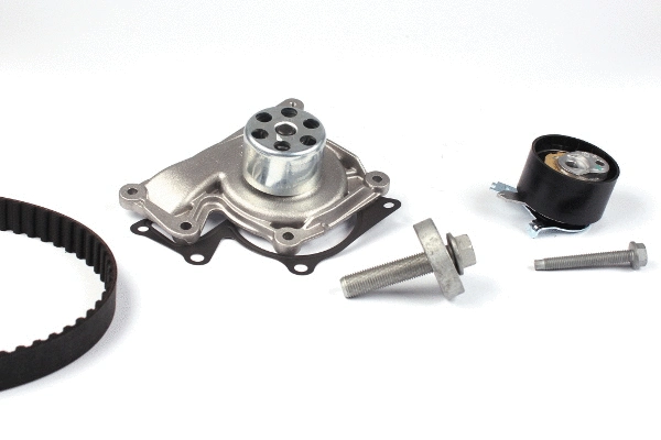 Water Pump & Timing Belt Kit (PK09651)