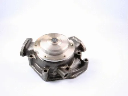 Water Pump, engine cooling (P1455)